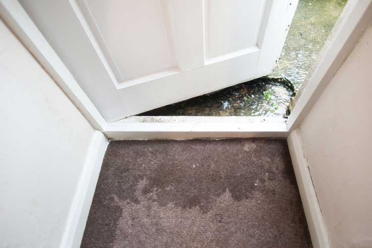 Carpet Cleaning After Water Damage