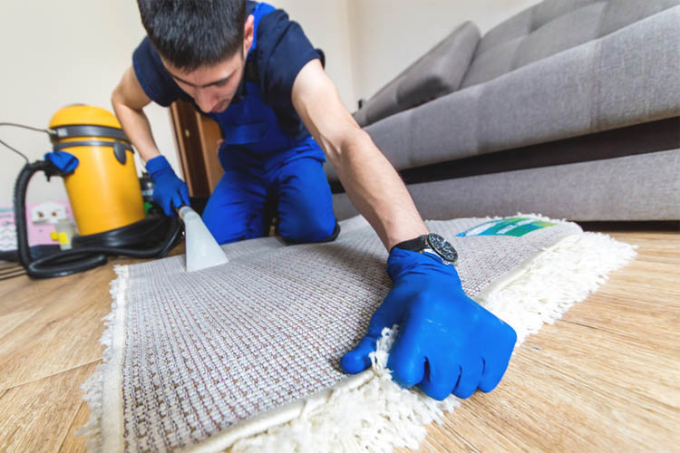 Carpet Cleaning Near Me