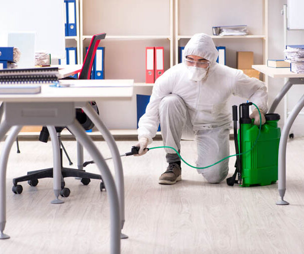 Home and Office Cleaning Disinfection Service