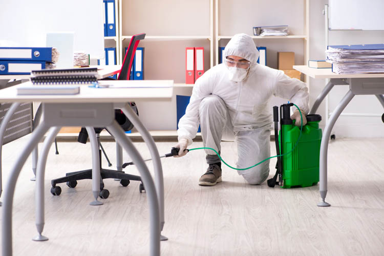 Home and Office Cleaning Disinfection Service