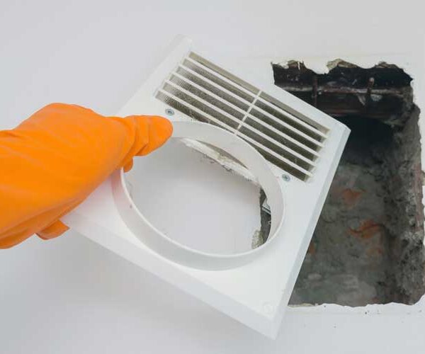 Professional Air Duct Cleaning Minimizes Indoor Bacteria and Mold Growth