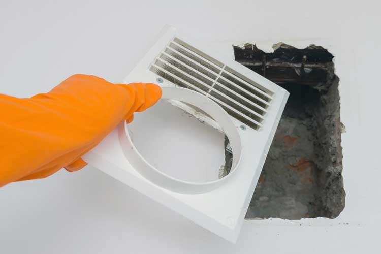 Professional Air Duct Cleaning Minimizes Indoor Bacteria and Mold Growth
