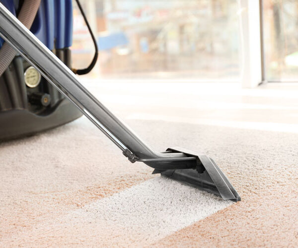 Professional Carpet Cleaning Company for Your Home