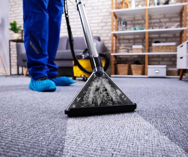 How Can Professional Carpet Cleaning Services Protect Carpet Fibers