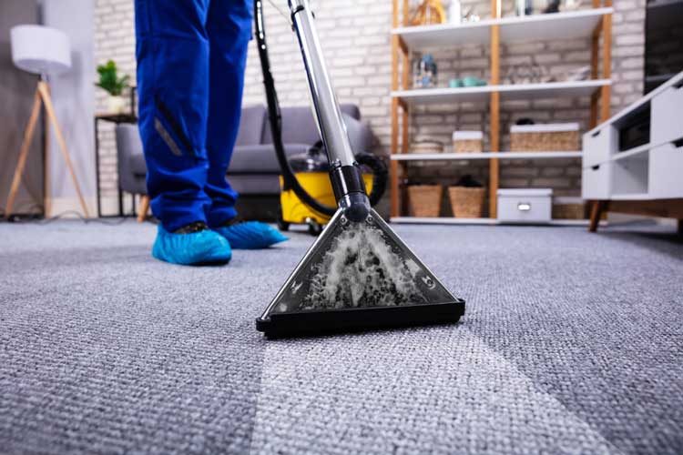 How Can Professional Carpet Cleaning Services Protect Carpet Fibers
