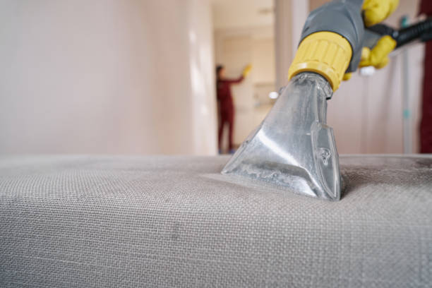 Upholstery Cleaning