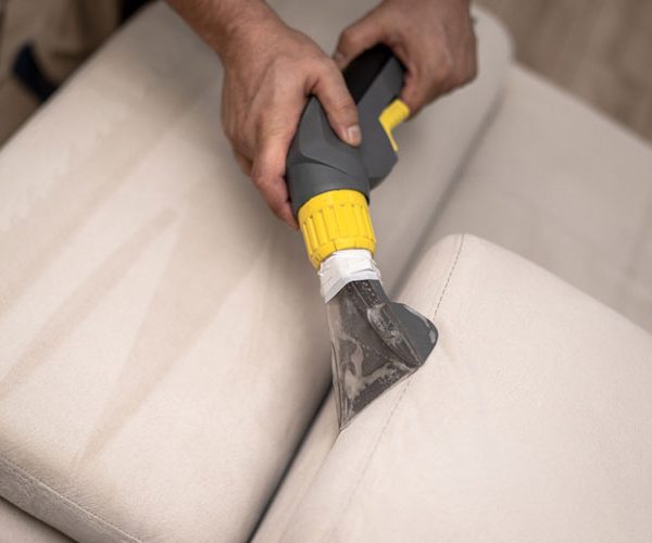 Professional Upholstery Cleaning