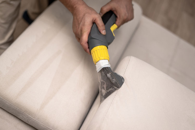 Professional Upholstery Cleaning