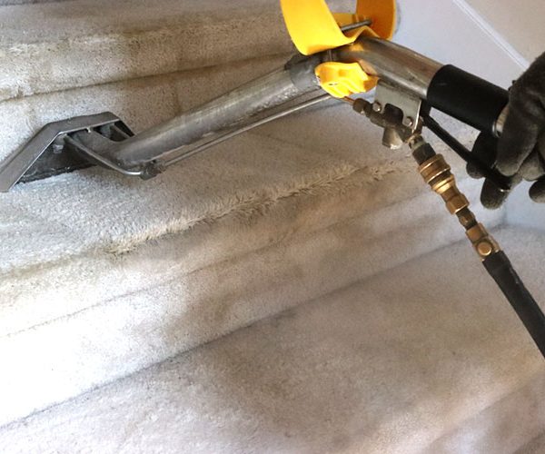 Hiring Carpet Cleaning Services