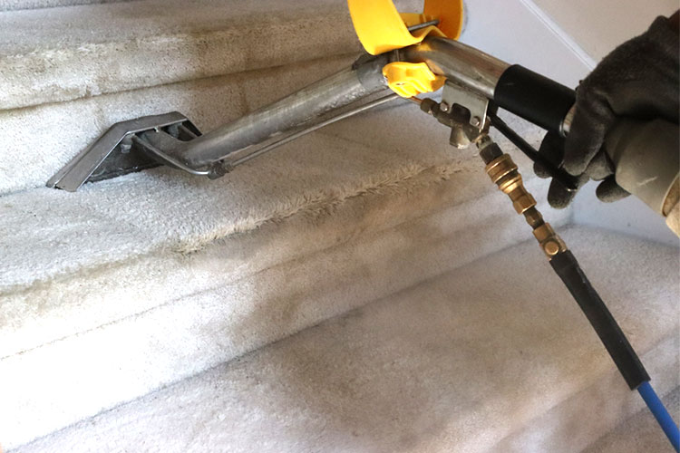 Hiring Carpet Cleaning Services