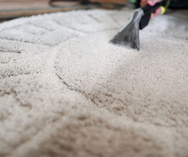 Area Rug Cleaning services