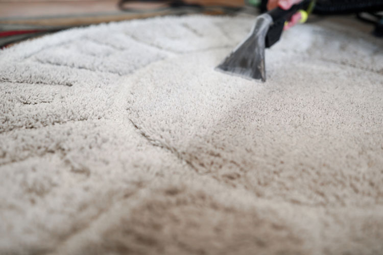 Area Rug Cleaning services