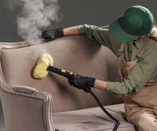 Professional Upholstery Cleaning