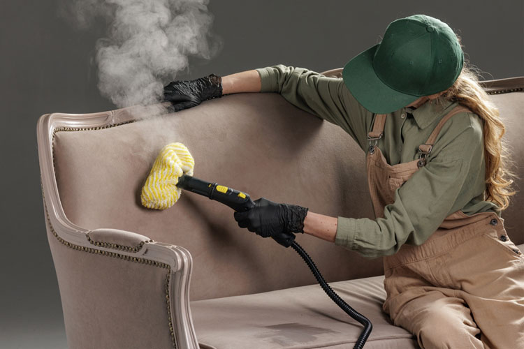 Professional Upholstery Cleaning