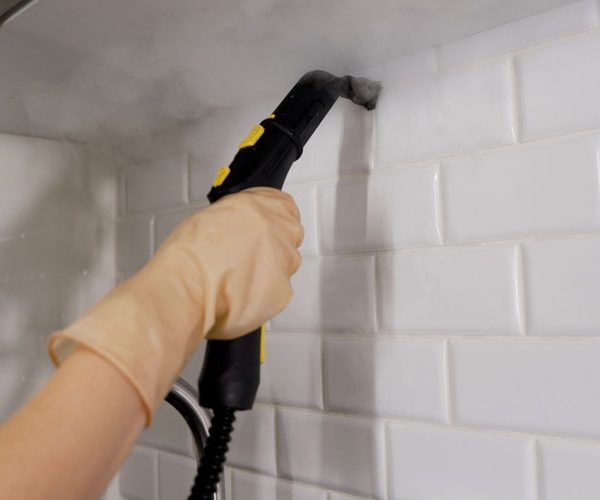 Tile and Grout Cleaning