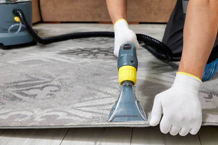 Move Out Carpet Cleaning