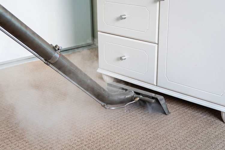 Allergy Relief Carpet Cleaning Service