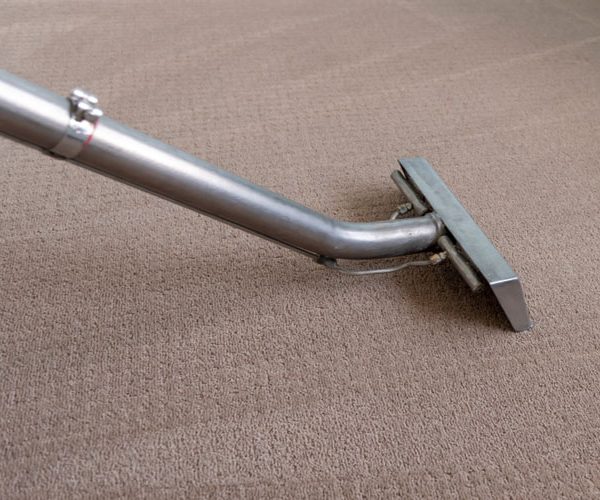 carpet cleaning for allergy sufferers