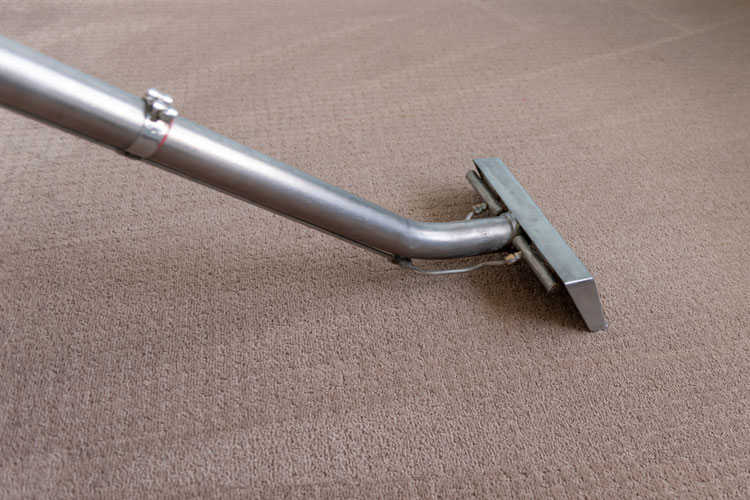 carpet cleaning for allergy sufferers